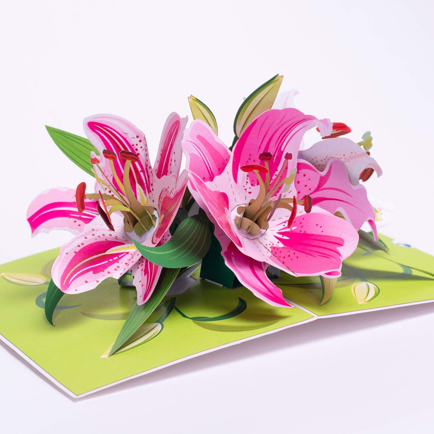 Three Lily Flower
