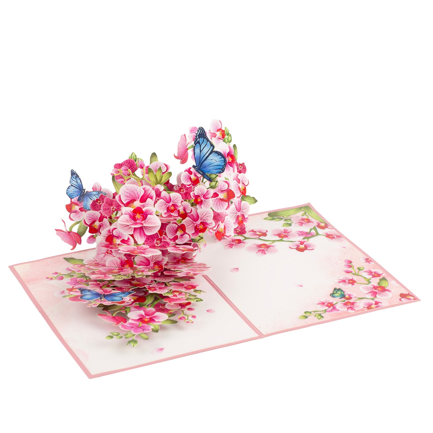 Orchid Branch Pop Up Greeting Card