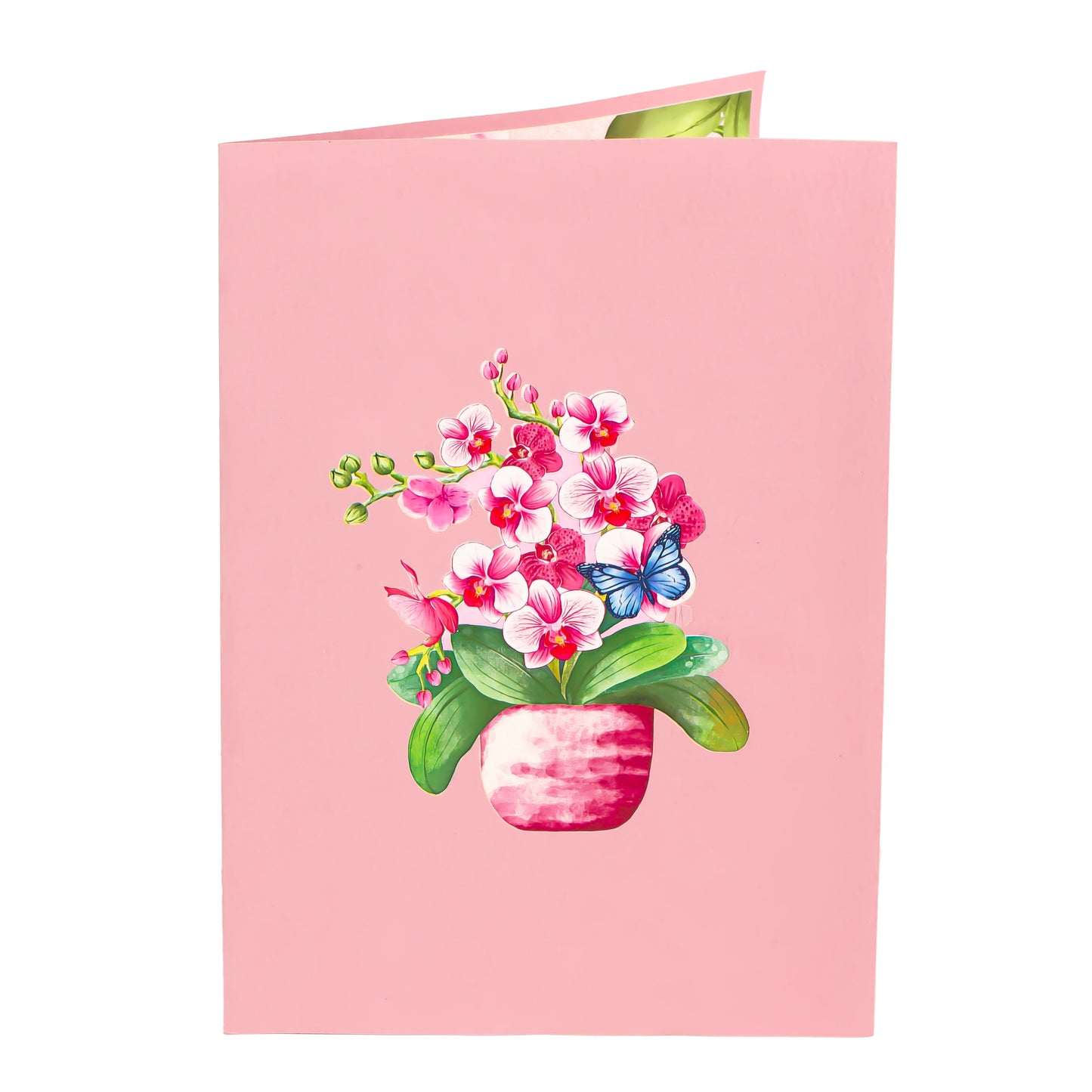 Orchid Branch Pop Up Greeting Card