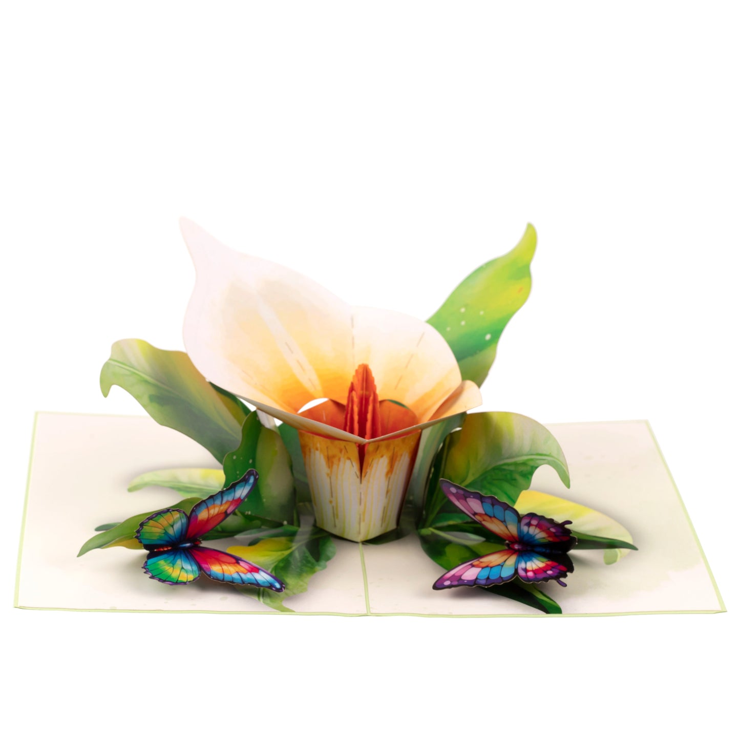 Single Calla Lily Pop Up Greeting Card