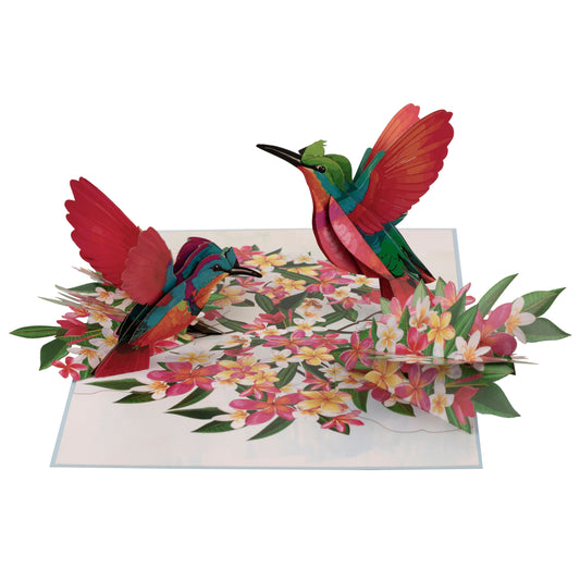 Hummingbird in Tropical Garden Pop Up Greeting Card