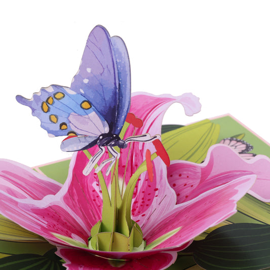 Lily Flower With Butterfly
