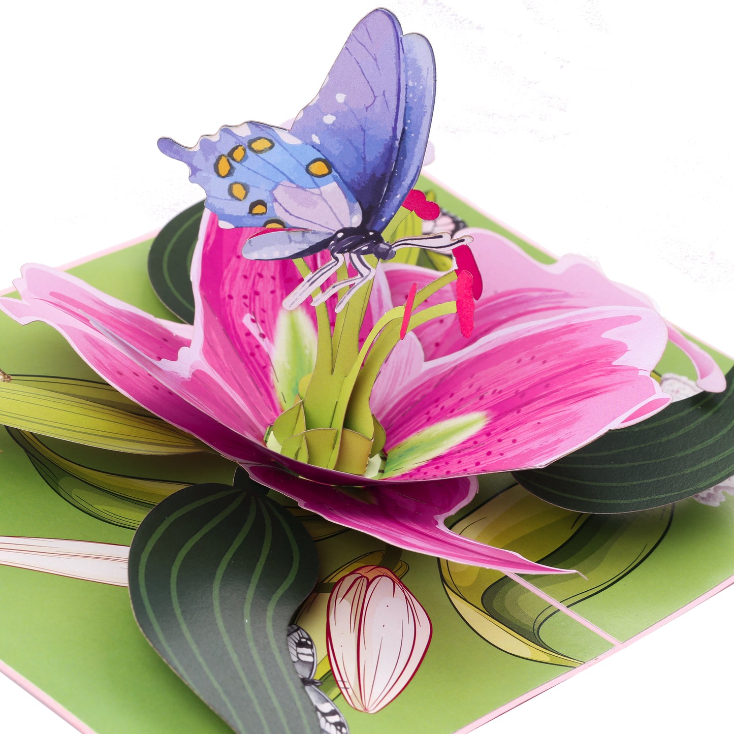 Lily Flower With Butterfly